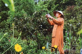 “Với tôi, tự mình canh tác nuôi thân, sống với vườn rau, ngọn cỏ, trò chuyện với chim muông là niềm an lạc nhất trong cuộc sống này”- Trưởng lão Hòa thượng Thích Tâm Thủy - Ảnh: Quảng Đạo/BGN
