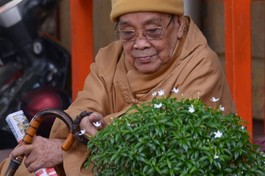 Đại lão Hòa thượng Thích Hiển Tu - Ảnh: Bảo Toàn