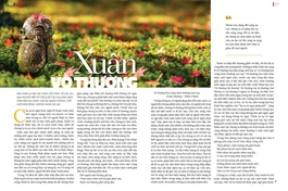 Bài trên giai phẩm Giác Ngộ Xuân Quý Mão - 2023 - Thiết kế: Tống Viết Diễn