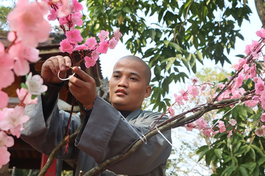 Trang hoàng cảnh chùa đón Tết