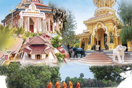 Phỏng vấn Hoà thượng Thích Thiện Thống: Phật giáo An Giang trong hệ thống tổ chức GHPGVN