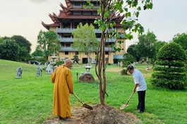 Trưởng lão Hoà thượng Thích Trí Quảng và ông Lê Minh Trí trồng cây Bồ-đề tại chùa Huê Nghiêm.