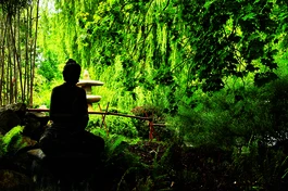 Hình chỉ mang tính minh họa