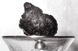 Trái tim bất diệt của Bồ-tát Thích Quảng Đức - Ảnh tư liệu