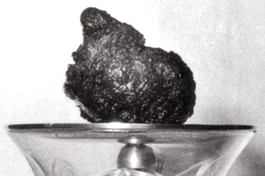 Trái tim bất diệt của Bồ-tát Thích Quảng Đức - Ảnh tư liệu