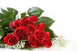 Cõi tình bình yên của con!