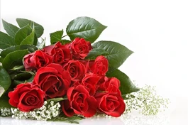 Cõi tình bình yên của con!