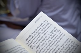 Ảnh minh họa của Bảo Toàn