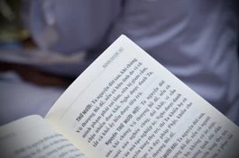 Ảnh minh họa của Bảo Toàn