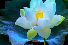 Hòa thượng Tinh Vân: Phụ nữ lấy nhu làm điểm mạnh