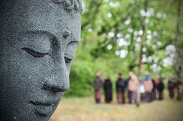 Thuyết pháp không vì tiếng tăm