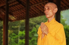 Hòa thượng Thích Tuệ Sỹ (1943-2023)