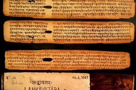 Một số phiến kinh Lăng-già (Laṅkāvatāra Sūtra) viết trên lá bối - Ảnh tư liệu