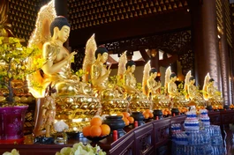 Hòa thượng Thích Lệ Trang giải thích về Pháp hội Dược Sư