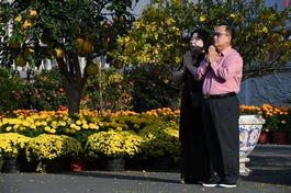 Hình ảnh chỉ mang tính minh họa - Ảnh: Thế Phong