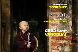 Báo Giác Ngộ số 1242: "Vì đâu ra nỗi này? Chùa dạo này vắng quá!"