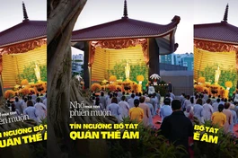 Báo Giác Ngộ số 1245: Nhổ mũi tên phiền muộn 