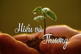 Hiểu và thương