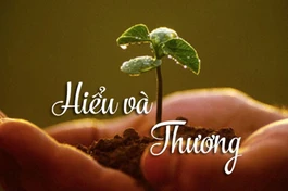 Hiểu và thương
