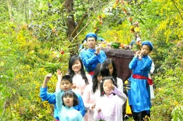 Giáo hội khuyến khích Phật tử TP.HCM treo cờ đèn, thiết trí lễ đài Phật đản tại tư gia