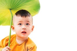 Ảnh: Phùng Anh Quốc/BGN