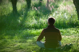 Bạn nên học hạnh báo hiếu của người cư sĩ tại gia để vừa hiếu thảo với cha mẹ, tổ tiên mà vừa làm tròn bổn phận làm chồng, làm cha của mình - Ảnh minh họa từ Làng Mai