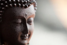 Phật giáo không phải là tôn giáo theo như nghĩa mà Tây phương gán cho tôn giáo, nghĩa là có siêu việt, có tín điều, có Thượng đế, có sức nặng chủ lực của lòng tin. Phật giáo đặt nặng trên kinh nghiệm, trên chứng ngộ của bản thân, không có tín điều. Thái độ của Phật giáo không đi ngược với khoa học