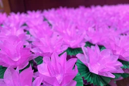 Hoa sen được Ban Tổ chức chuẩn bị cho Lễ phóng liên đăng tối 14-8, trong Pháp hội Vu lan Phật lịch 2568 tại Việt Nam Quốc Tự - Ảnh: GN