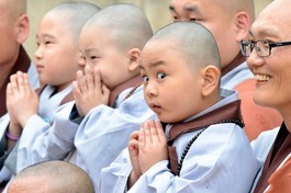 Các cháu nhỏ Hàn Quốc trong khóa "xuất gia gieo duyên" 