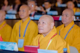 Trưởng lão Hòa thượng Thích Thiện Nhơn tham dự Hội nghị Phật giáo vì hòa bình thế giới tại Paris, Pháp