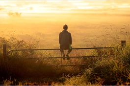 Tuổi trẻ và vấn đề chết