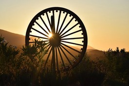 Thiền Vipassana: Một nghệ thuật sống