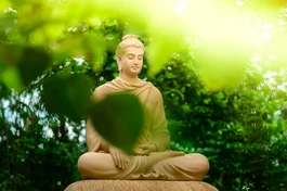 Theo lời của Thế Tôn, thật rõ ràng, hai sức mạnh của nhẫn và tư duy chính là điểm mấu chốt giúp Ngài đạt đến đạo quả.