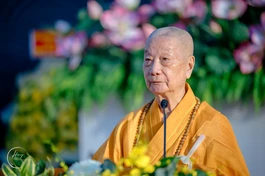 [TRỰC TUYẾN] Đại lão Hòa thượng Thích Trí Quảng chia sẻ về 5 hạng Pháp sư