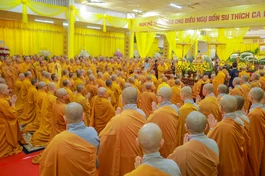 [Video] Lễ nhập kim quan Trưởng lão Hòa thượng Thích Từ Thông - hiệu Như Huyễn Thiền sư (1928-2025)