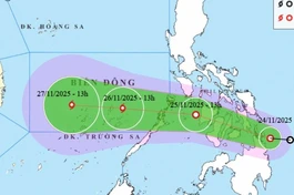 Ban Chỉ đạo Phòng thủ dân sự quốc gia yêu cầu 15 tỉnh, thành phố và 7 bộ ứng phó áp thấp sắp thành bão số 15