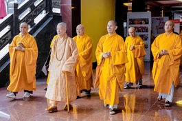 [Video] Đức Pháp chủ quang lâm Việt Nam Quốc Tự khai thị cho Tăng Ni trong Khóa huân tu và Bồi dưỡng trụ trì