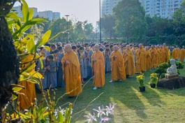[Video] Lễ vía Đức Phật Di Đà tại chùa Huê Nghiêm - khởi đầu mùa tu Gia hạnh Phổ Hiền năm Ất Tỵ