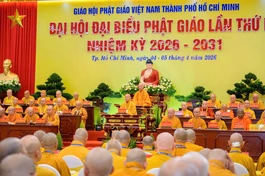 [TRỰC TUYẾN] Phiên trọng thể Đại hội đại biểu Phật giáo TP.HCM lần thứ I, nhiệm kỳ 2026-2031