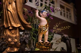 Ban Nghi lễ Trung ương GHPGVN nói gì về hình tượng Thái tử Tất Đạt Đa bảo tướng sơ sanh trong Lễ Mộc dục