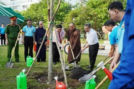 Ông Nguyễn Phước Lộc, Phó Bí thư Thành ủy, Chủ tịch UBMTTQVN TP.HCM, cùng đại diện lãnh đạo P.Xuân Hòa, đại biểu tham dự trồng cây xanh tại Công viên Phan Đình Phùng