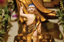 Từ hình tướng sơ sanh đến biểu tượng siêu việt, thanh tịnh của Đấng Giác ngộ, bậc Ly dục