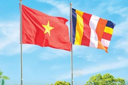 Đại hội đại biểu Phật giáo toàn quốc lần thứ X, nhiệm kỳ 2026-2031, sẽ diễn ra từ ngày 5 đến 7-11-2026 ở Học viện Phật giáo VN tại TP.HCM - Ảnh: Quảng Đạo/BGN