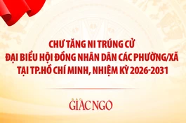 Thiết kế: Hạnh Đăng/BGN