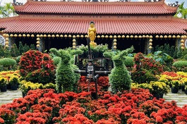 Không gian Phật đản tràn ngập sắc hoa tại tổ đình Hội Phước (huyện Châu Thành, tỉnh Đồng Tháp) - Ảnh: HP