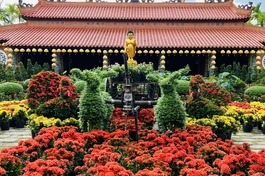 Không gian Phật đản tràn ngập sắc hoa tại tổ đình Hội Phước (huyện Châu Thành, tỉnh Đồng Tháp) - Ảnh: HP