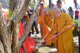 Hòa thượng Thích Thiện Nhơn, Chủ tịch Hội đồng Trị sự GHPGVN trồng cây lưu niệm tại khu vực tượng Phật Bà tây Bổ Đà Sơn thuộc Khu du lịch quốc gia Núi Bà Đen (Tây Ninh) sáng 5-11 - Ảnh: Bảo Toàn