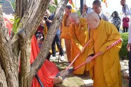 Hòa thượng Thích Thiện Nhơn, Chủ tịch Hội đồng Trị sự GHPGVN trồng cây lưu niệm tại khu vực tượng Phật Bà tây Bổ Đà Sơn thuộc Khu du lịch quốc gia Núi Bà Đen (Tây Ninh) sáng 5-11 - Ảnh: Bảo Toàn