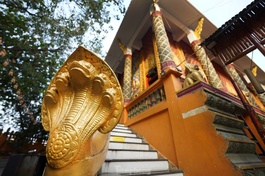 Ngôi chùa độc đáo với nhiều tượng rắn ở TP.HCM