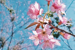 Cúi xuống thật gần